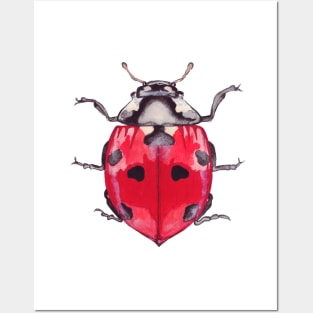 ladybug Posters and Art
